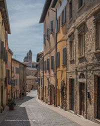 urbino